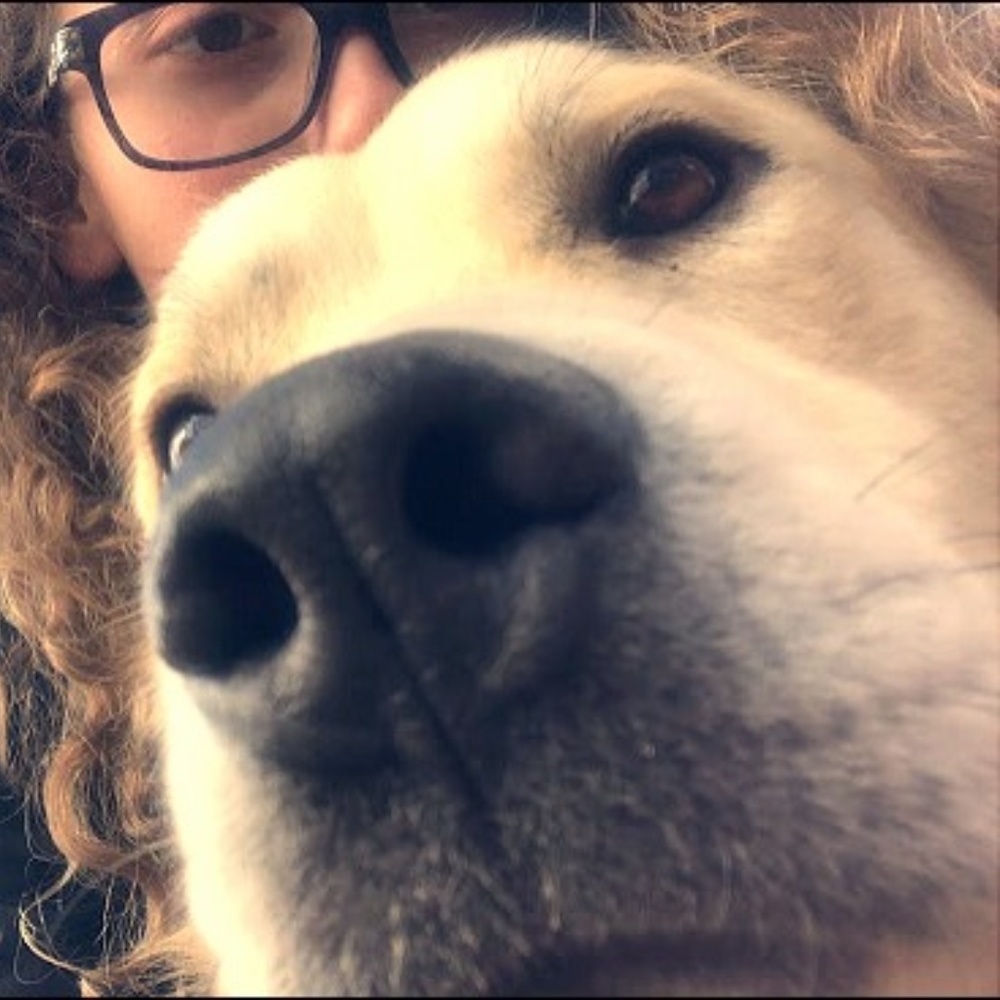 Meet your Posher, Kyrstin